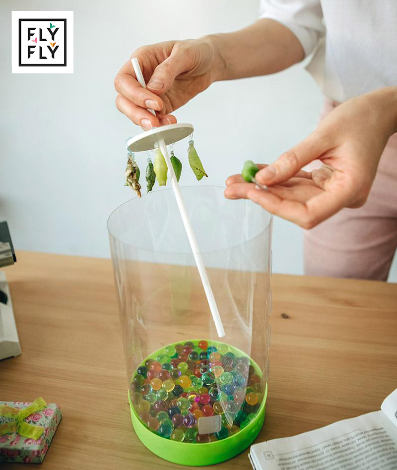 Собрать Бабочкарий вместе с ребёнком за 10 минут